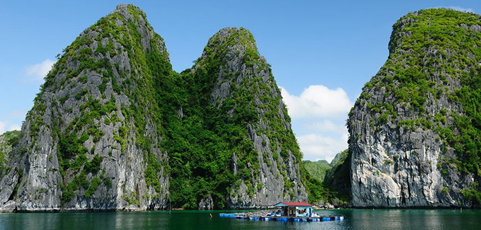 Hard-to-forget Emotional Experience When Visiting Ha Long Bay