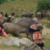 People at Coc Ly Market - Sapa tours