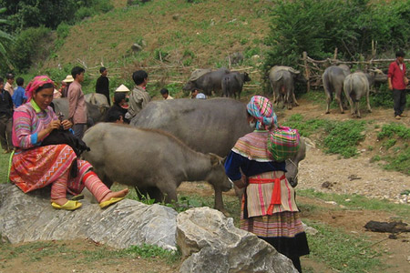 People at Coc Ly Market - Sapa tours