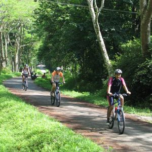 Cycling in Cuc Phuong National Park