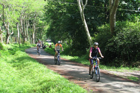 Cycling in Cuc Phuong National Park - Vietnam biking tour
