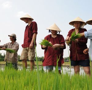 Hoi-An-Ancient-Town-Tour-03-Rice-Show