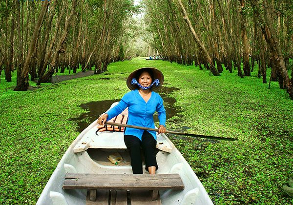 Indigo forest mekong delta