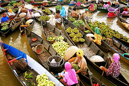 Mekong Delta River Tour