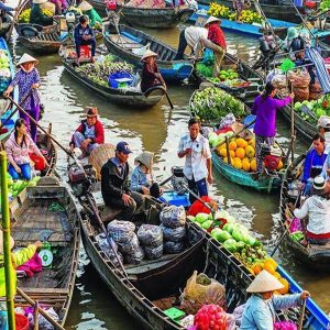 Mekong Delta Tour With Colorful Market of Cai Be - 1 Day