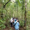 Nam Cat Tien National Park Tour - 3 Days