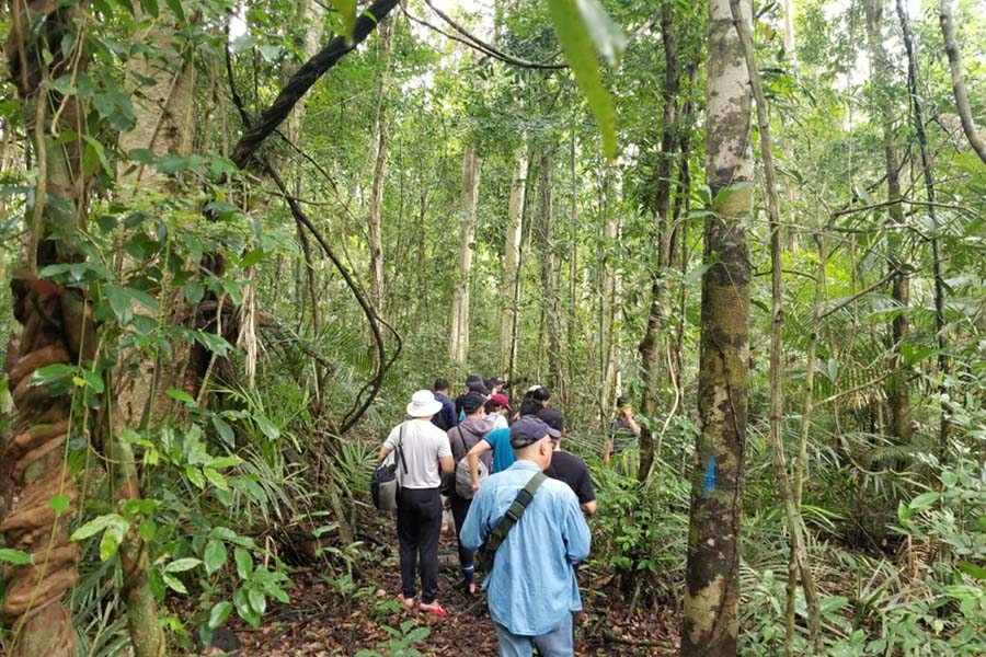 Dong Nai, Vietnam - An adventure in the tropical jungle