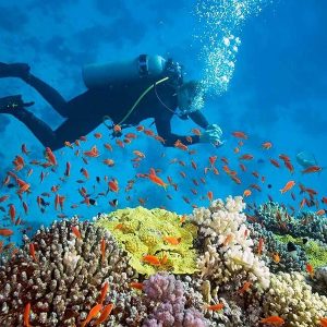 Nha Trang Island & Snorkeling - Diving Tour - 1 Day