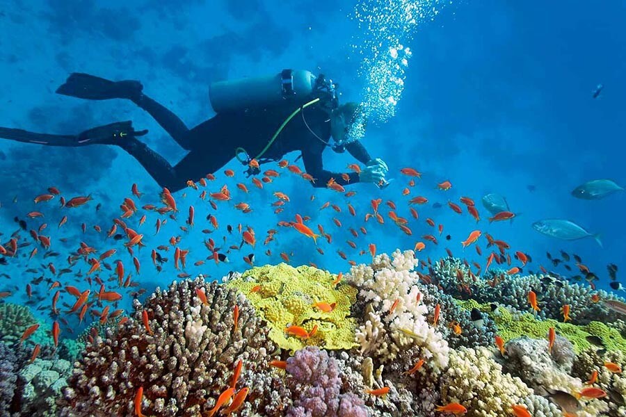 Nha Trang Island & Snorkeling - Diving Tour - 1 Day - Vietnam Local Tour