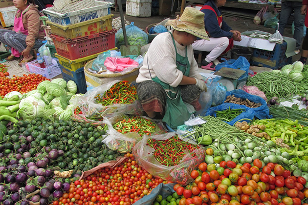 Phousi Market - Laos packages