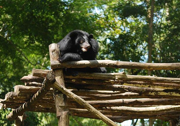 animals at nam cat tien national park tours