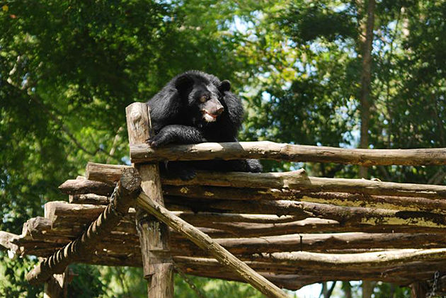 animals at nam cat tien national park tours