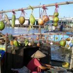 cai rang floating market can tho