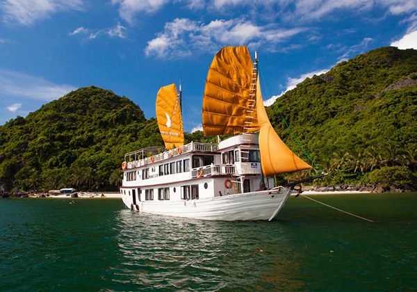 halong phoenix cruiser - Vietnam tour package