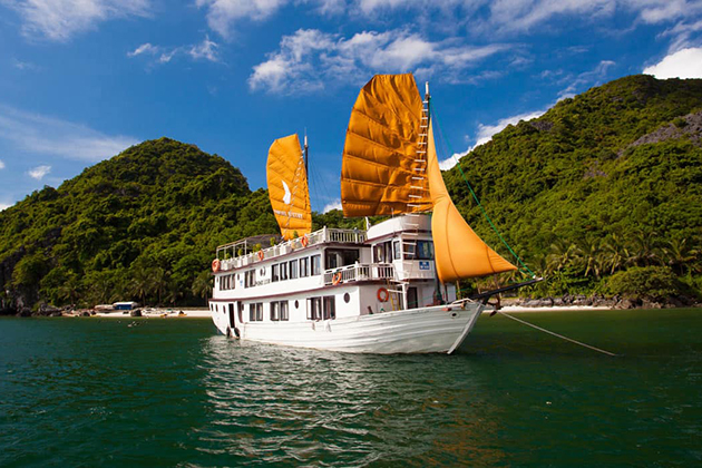 halong phoenix cruiser - Vietnam tour package