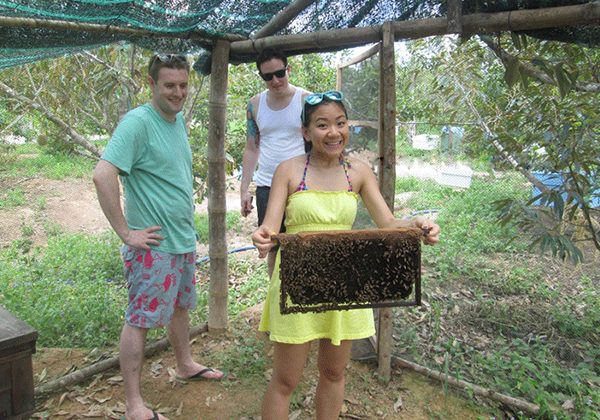 honey farm in mekong delta - Vietnam family tour