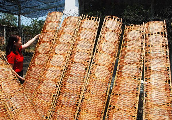 making rice paper in Mekong Delta