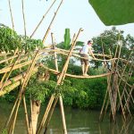 monkey bridge mekong delta