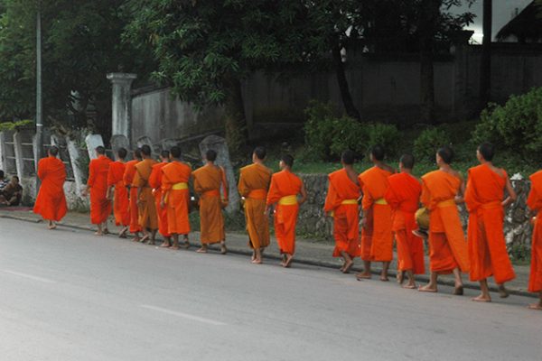 morning monks luang prabang
