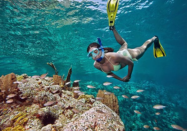 nha trang island and snorkeling tour 1 day