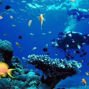 phu quoc 4-day itineraries scuba diving