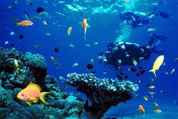 phu quoc 4-day itineraries scuba diving