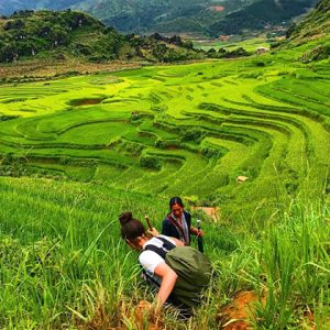 sapa rice terraces for trekking