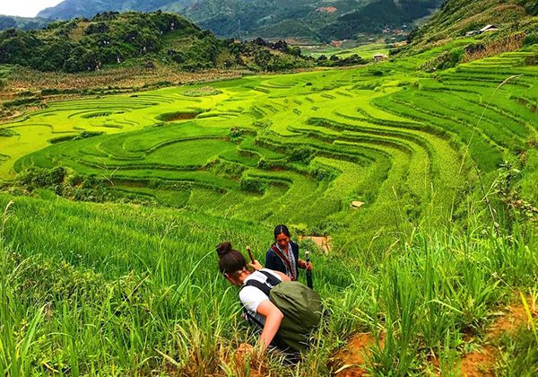 sapa rice terraces for trekking