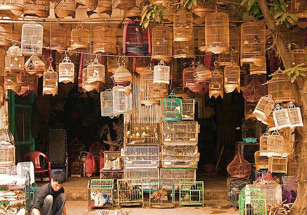 Hanoi Old Quarter Vietnam Classic Tours