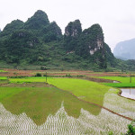 Rice paddy fields in Cao Bang