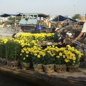 cai rang floating market vietnam and cambodia in 2 weeks