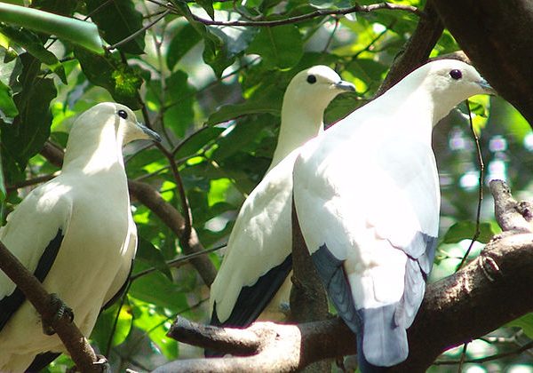 con dao national park con dao island tour