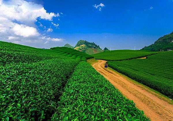 moc chau plateau - vietnam adventure holiday