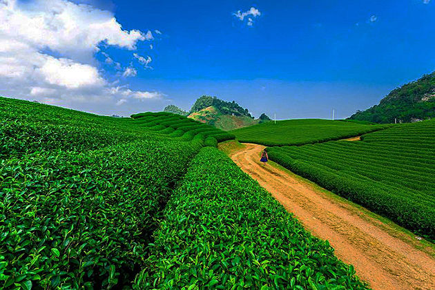 moc chau plateau - vietnam adventure holiday