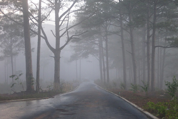 Dalat and Central Highlands are very wet in in September
