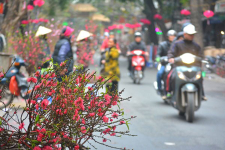 vietnam weather in february