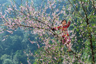Northern Vietnam in Spring