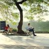 November is the best month to visit Hanoi and southern Vietnam.
