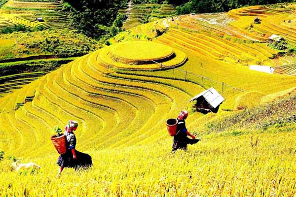 Sapa and the far north are at good conditions for trekking and adventure tours in September