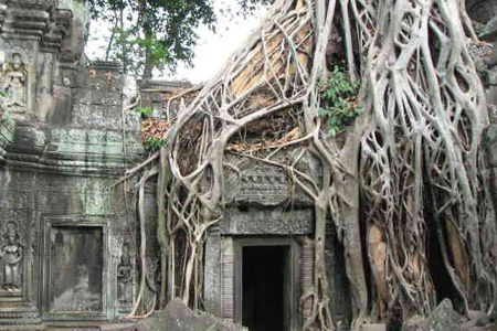 Ta Prohm