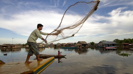 The Lake is the largest fresh water in South East Asia. Its dimension changes depending on the monsoon and dry season.