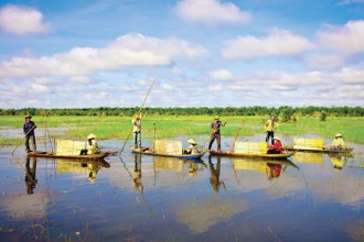 Tropical climate in Southern Vietnam is greatly favorable for agriculture especially growing rice