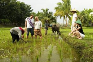 Hoi An Homestay