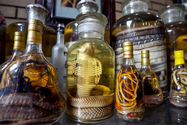 Vietnam snake wine