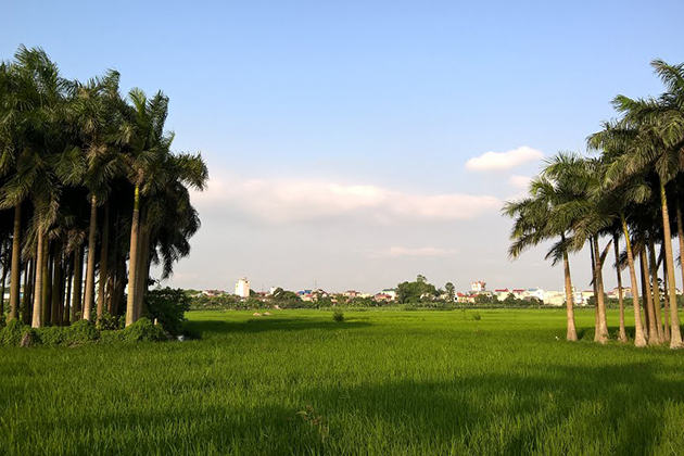 countryside in southern vietnam