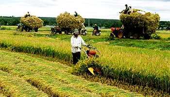 vietnam countryside vietnam tour company