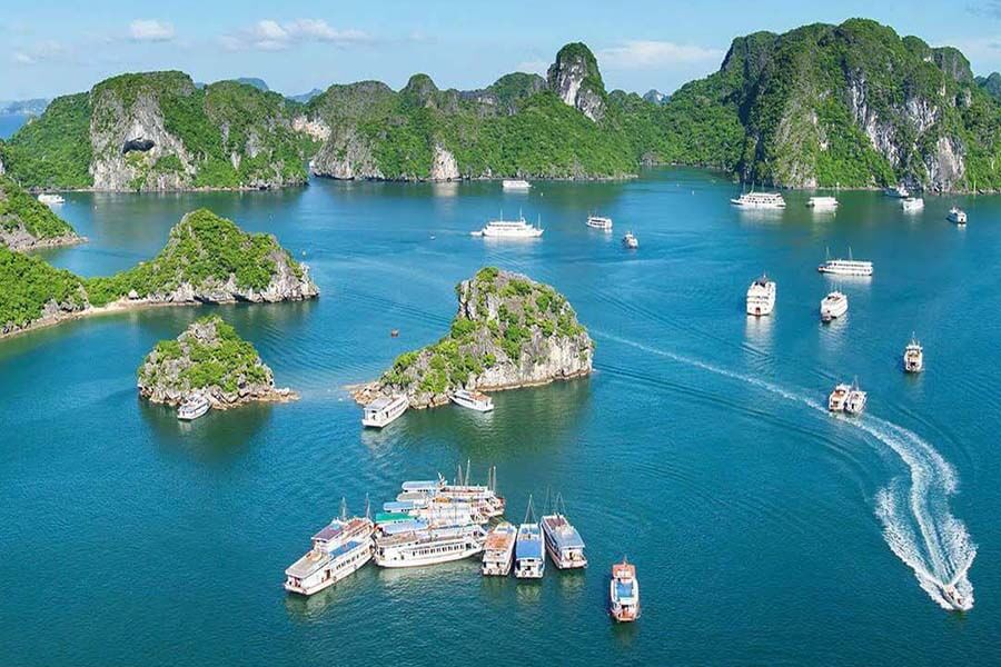 Halong Bay & Cat Ba Island Tour - Vietnam tour company
