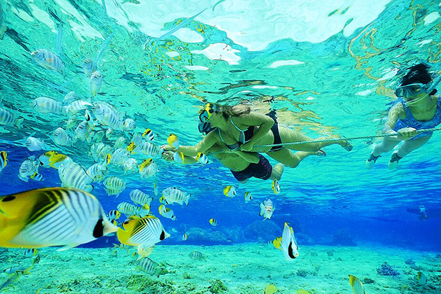 nha trang snorkeling tour - Vietnam tour package