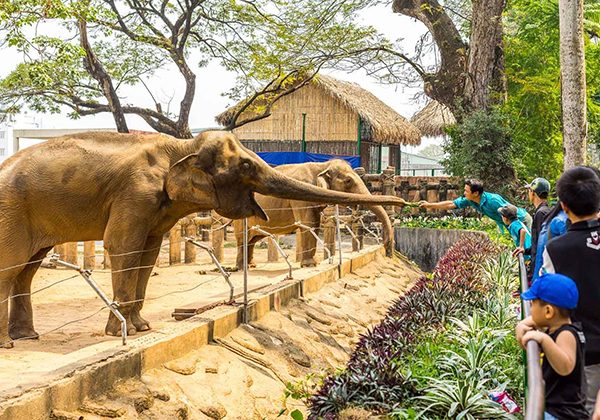 saigon zoo - Vietnam tour package