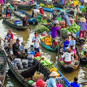 Cai Be Floating Market Tour & Countryside Journey - 1 Day